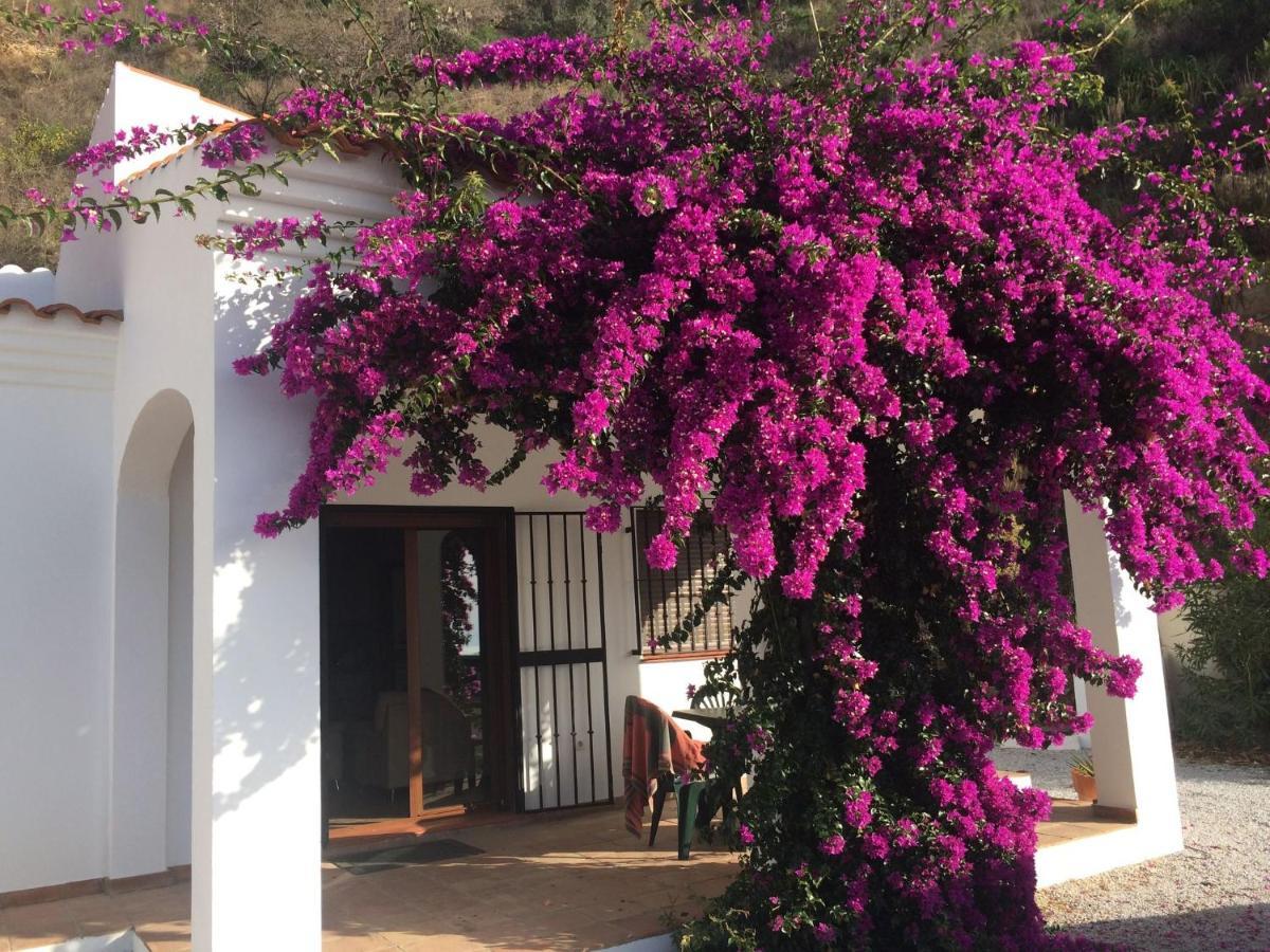 Belvilla By Oyo Casa Martijo Arenas  Dış mekan fotoğraf